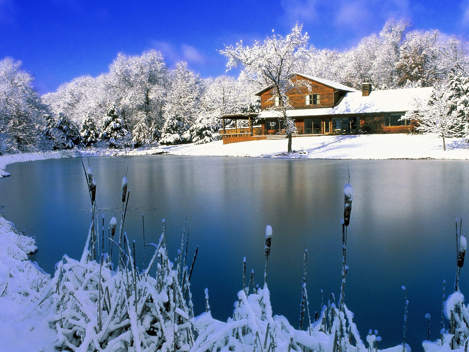 Images Of Christmas Nature | christmas wallpapers free merry christmas cards Images Of Christmas Nature | christmas wallpapers free merry christmas cards