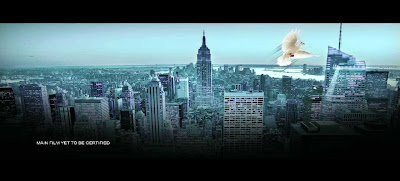 Vishwaroopam 2013 Hindi Movie Vishwaroopam 2013 Hindi Movie