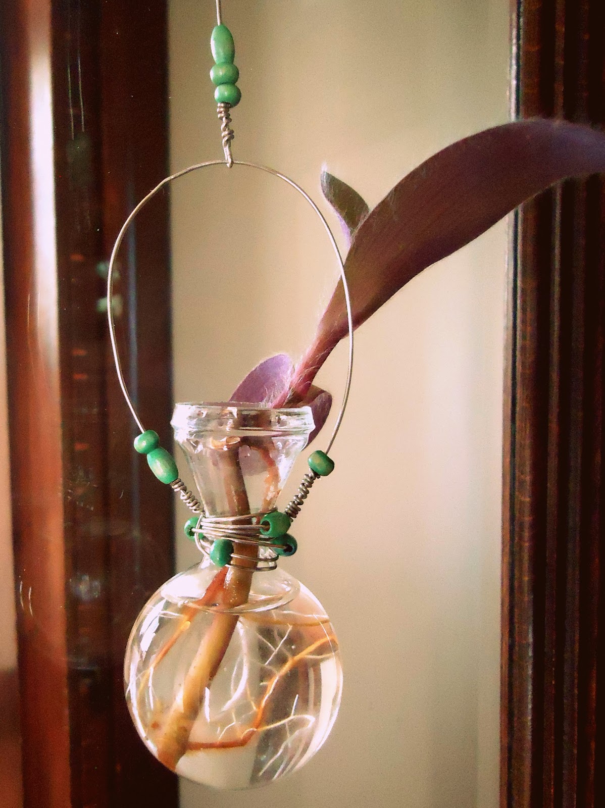 KareWares Glass hangers for house plant propagation