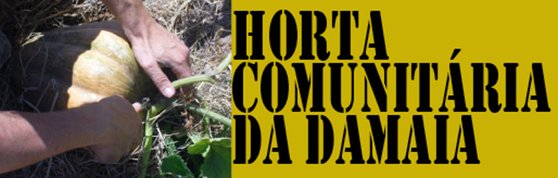 Horta Comunitária da Damaia