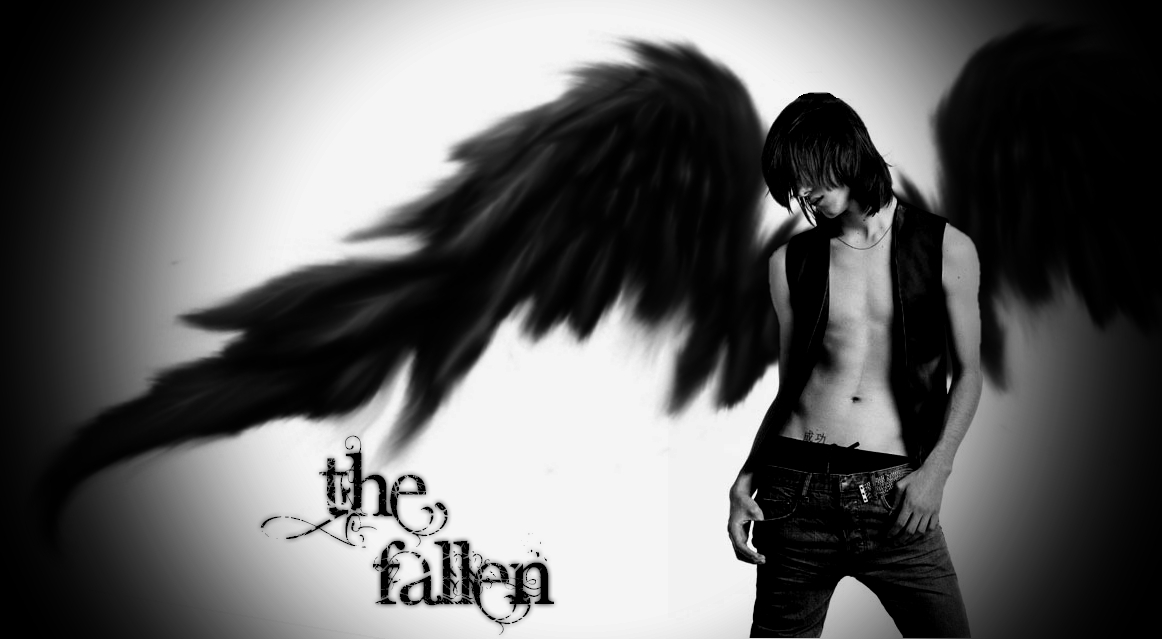 Angel Novel