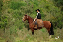 Diário do Andante - Lisandro Amaral