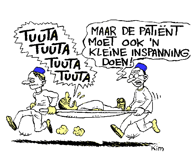 werken hernia operatie