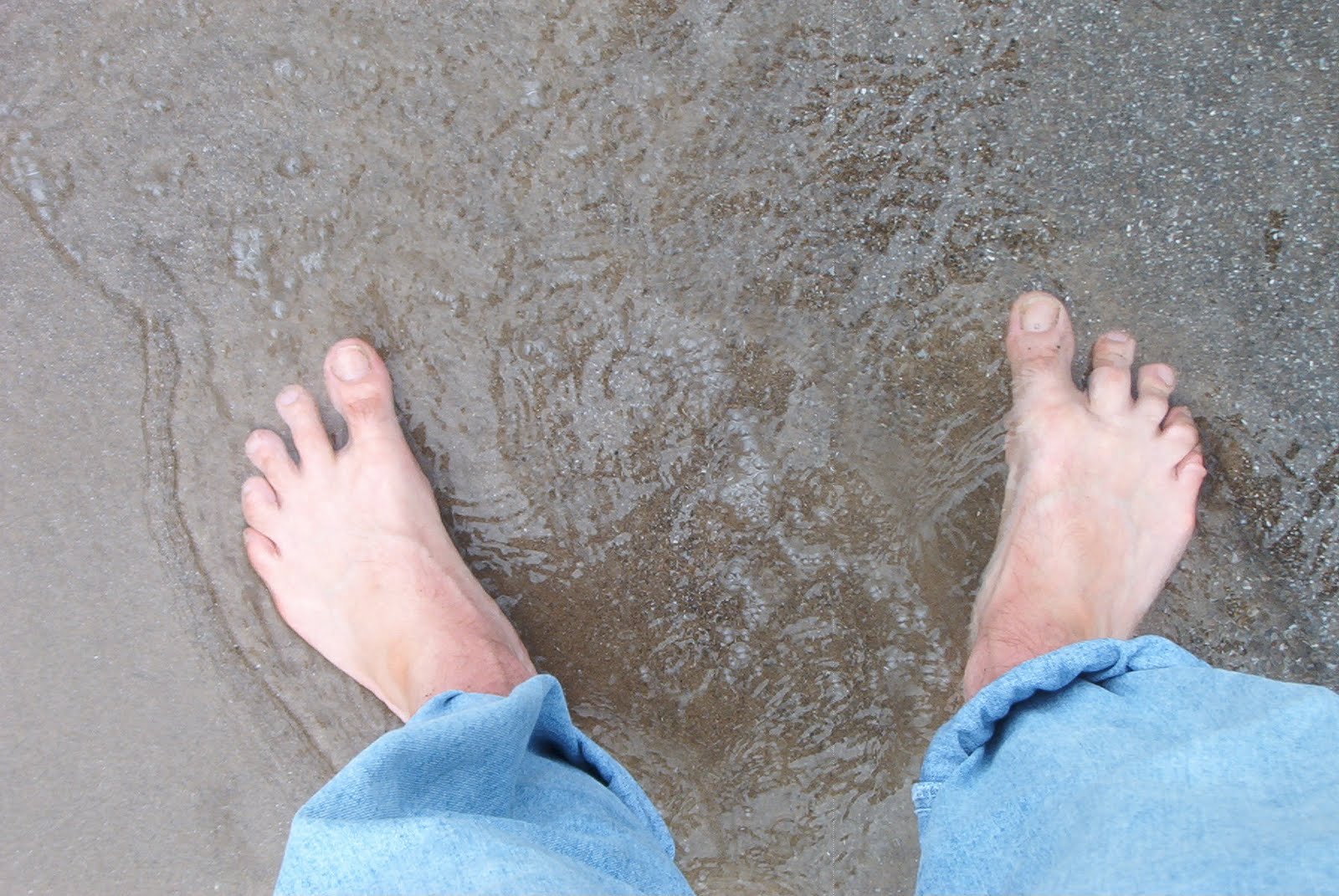 teach my ass megaupload