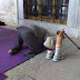 المســـجد حـن اليــك