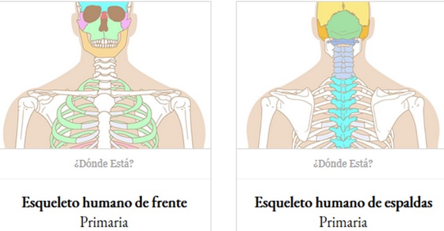 APRENDO E LOCALIZO ÓSOS