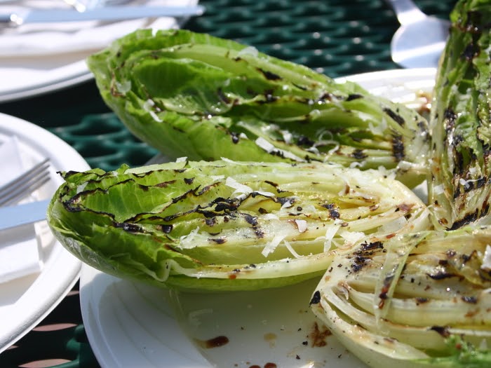 Food Wishes Video Recipes Lettuce Entertain You and Get to Know a Farmer