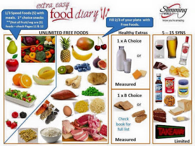 Donna  slimming world: Everyday Extra Easy