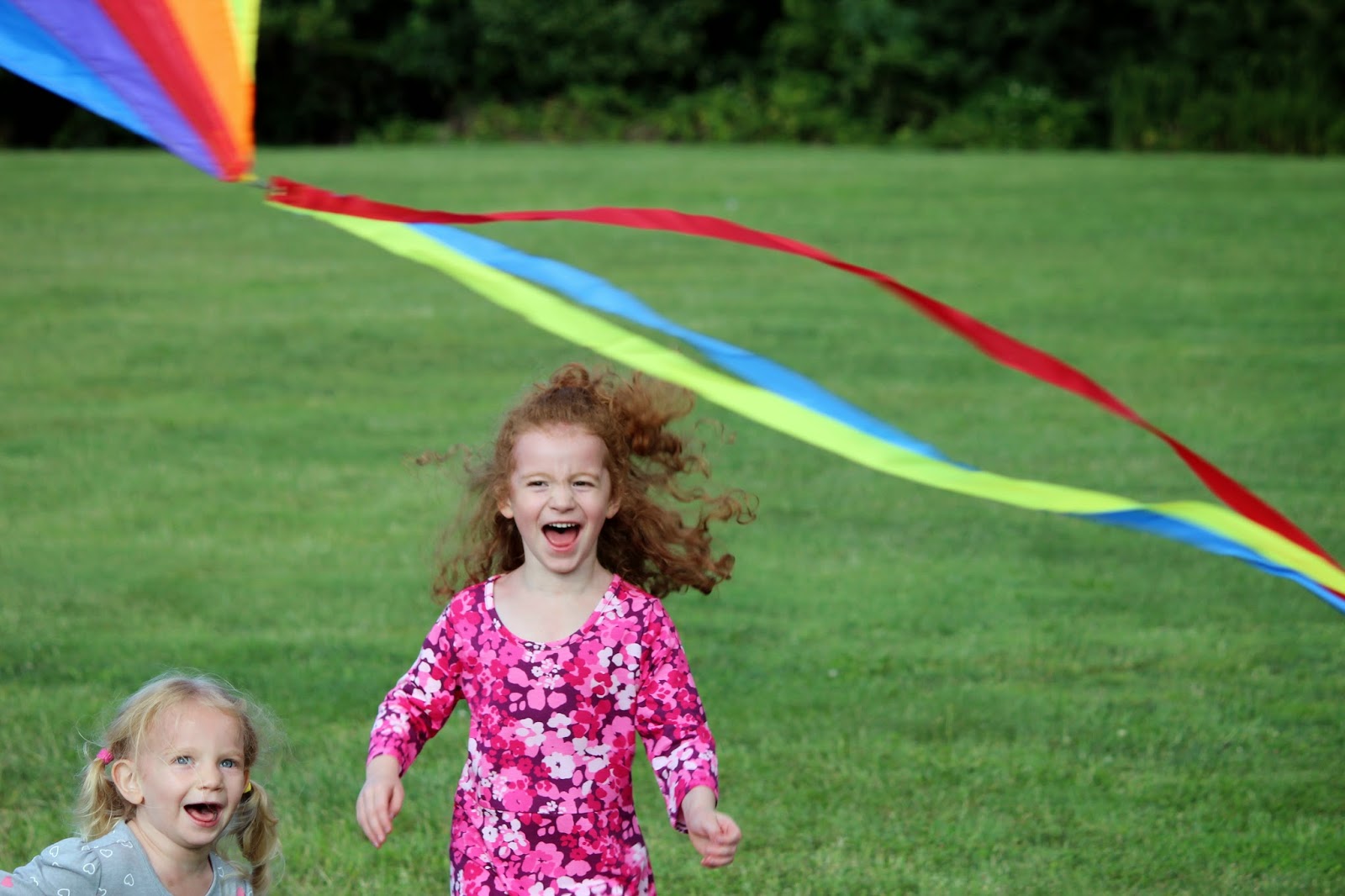Ben's Journal More Kite Running, than Kite Flying
