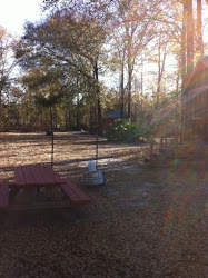 Cozy cabins out back