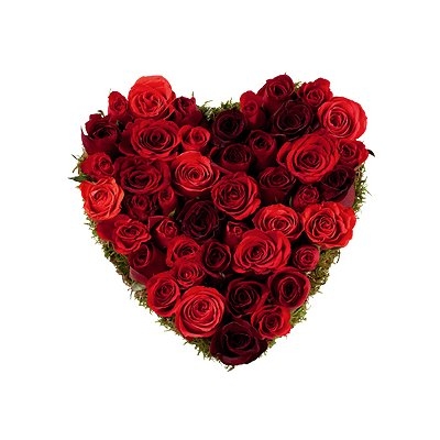 Un Blog De Fille Diy Rose Sous Cloche La Belle Et La Bete