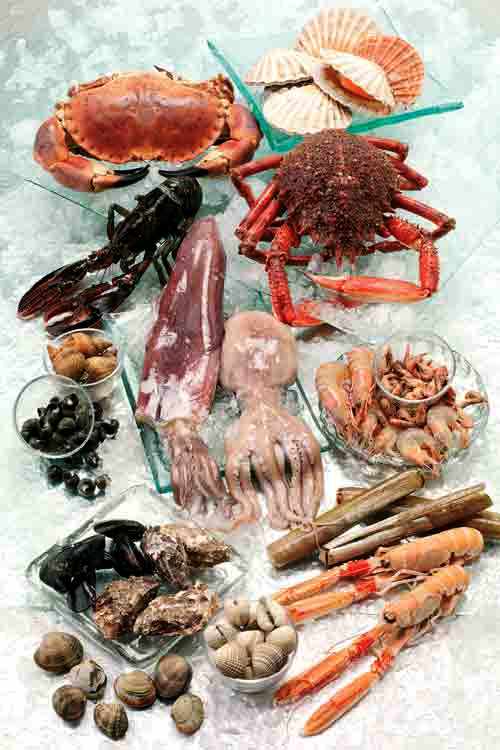 Business Ideas Small Business Ideas How to Start a Seafood Business