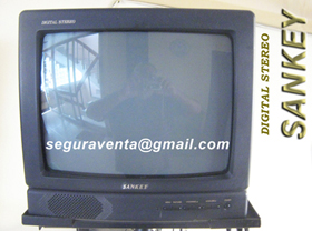 manual de televisores sankey manual de televisores sankey