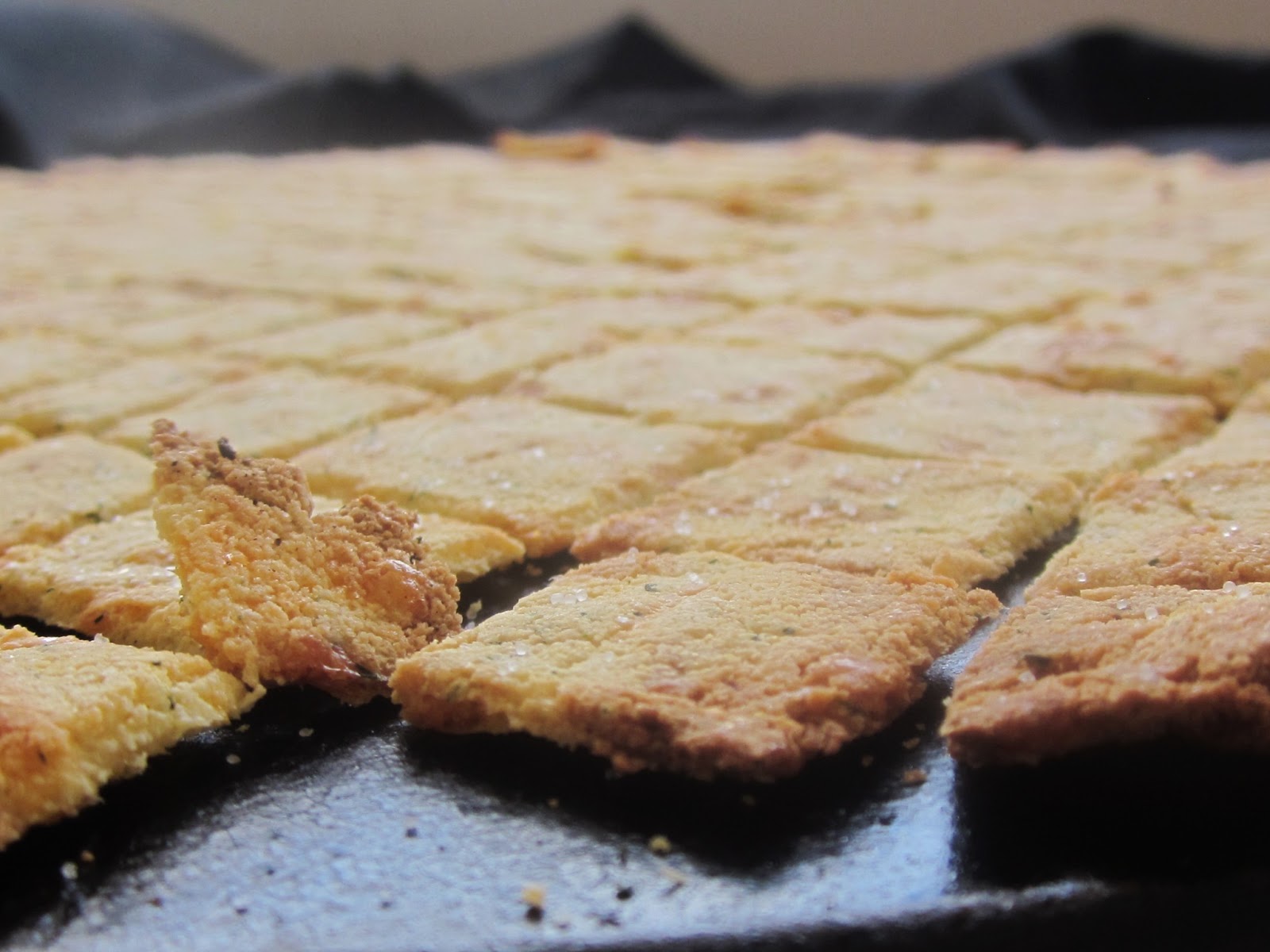 Chef Tess Bakeresse Coconut Flour Onion Dill Cheese Crackers, Low