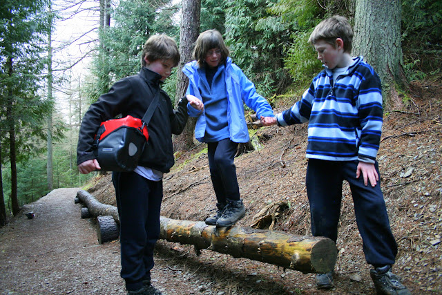 Wildplay Whinlatter Whinlatter Pass, Wildplay & Keswick (C2C Day 2)