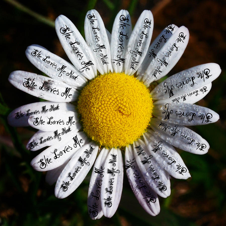 Memoirs of a Teenage Amnesiac She Love Me, She Loves Me Not