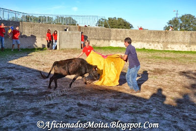 https://picasaweb.google.com/112628067891720623695/SantoEstevaoHerdDaAroeiraFestaCamperaReportagemFotograficaP2271013#slideshow/5993024797390276434