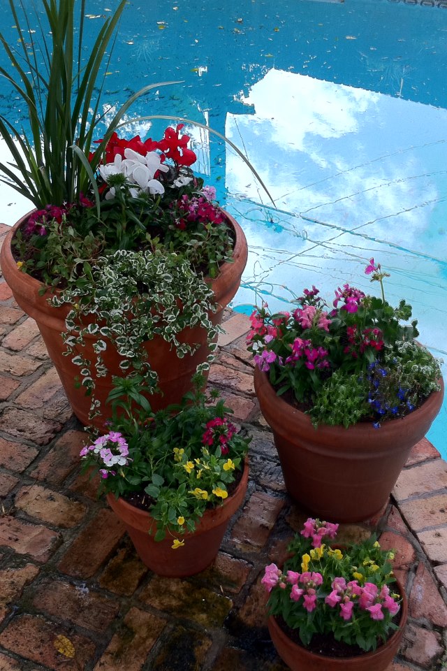 Laird Landscaping, Inc. Adding Beautiful Potted Plants To Landscaping
