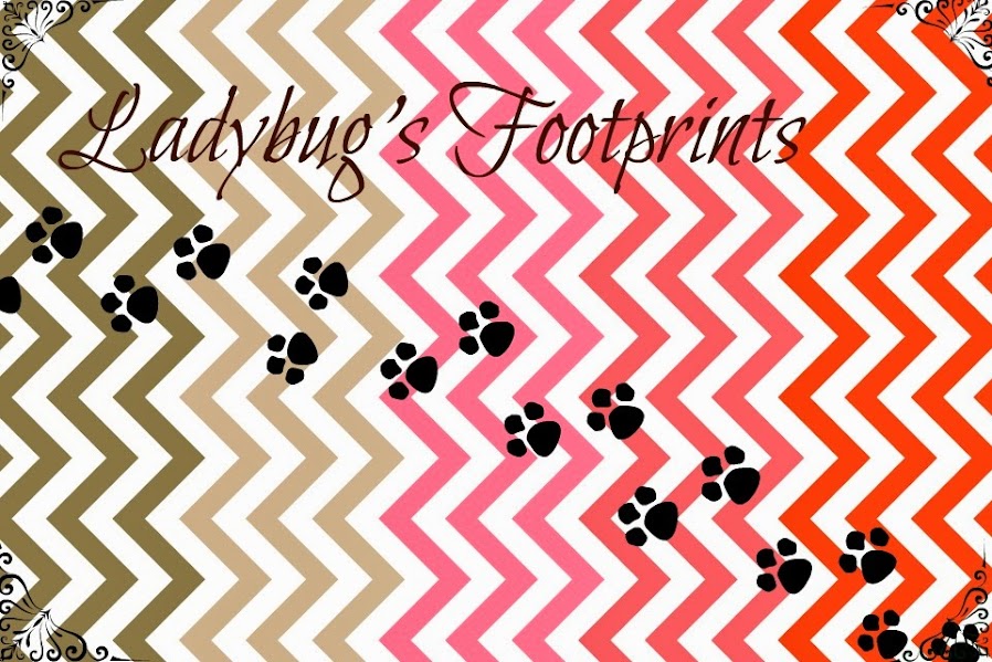 Ladybug's Footprints