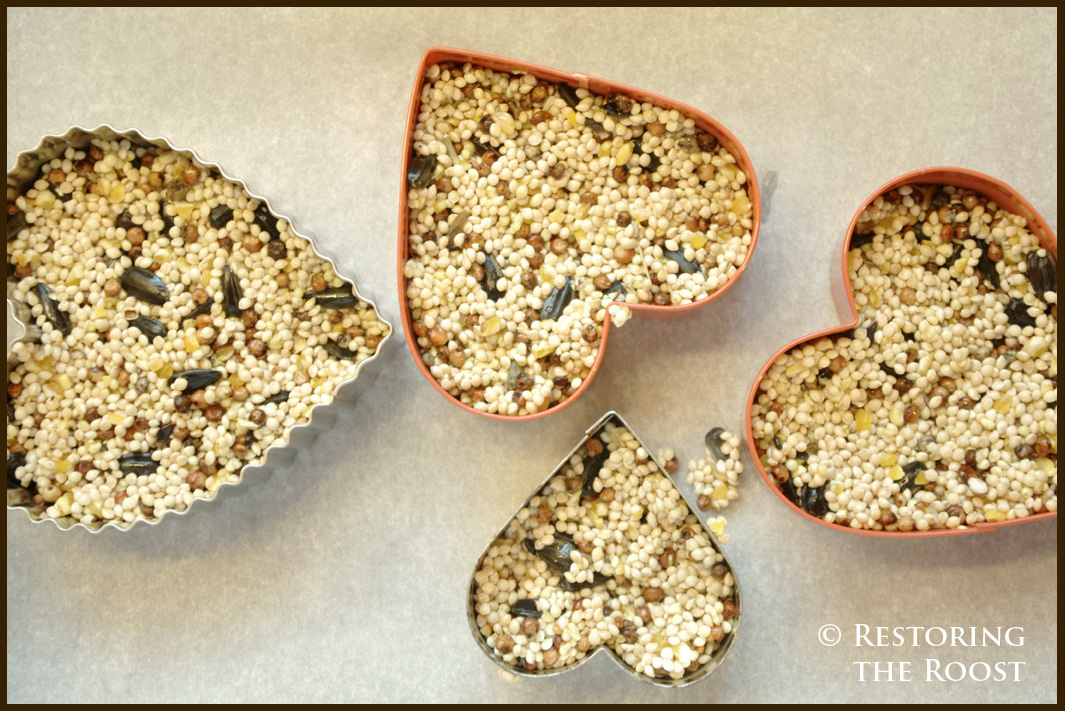 Restoring the Roost Valentine Bird Seed Hearts