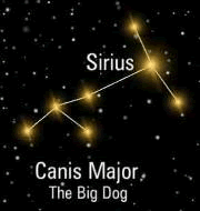 A misteriosa conexão entre Sirius e a História Humana Sirius