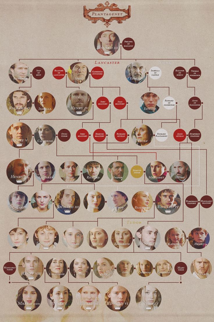 40+ Queen Elizabeth 1 Family Tree Images