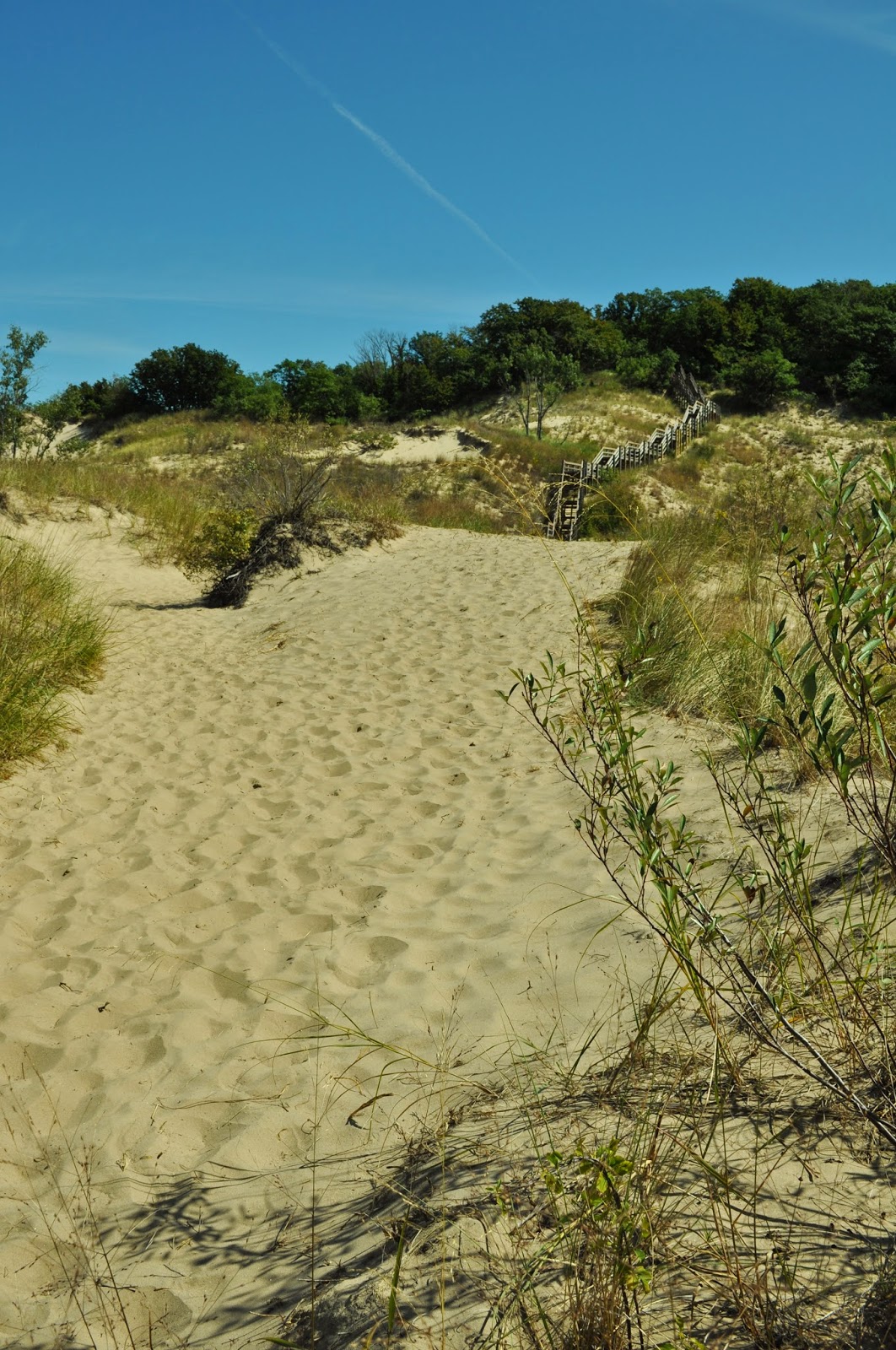 Pleasurable Pursuits Photo Friday Indiana Sand Dunes
