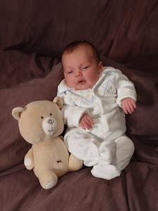 TEDDY - ONE MONTH OLD