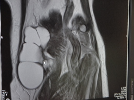 Y's Blog 第32回 画像診断塾