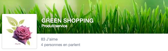 Facebook page ECOMMERCE GREEN COMUNITY