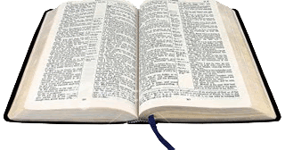 christians who have never read a book except the bible christians who have never read a book except the bible