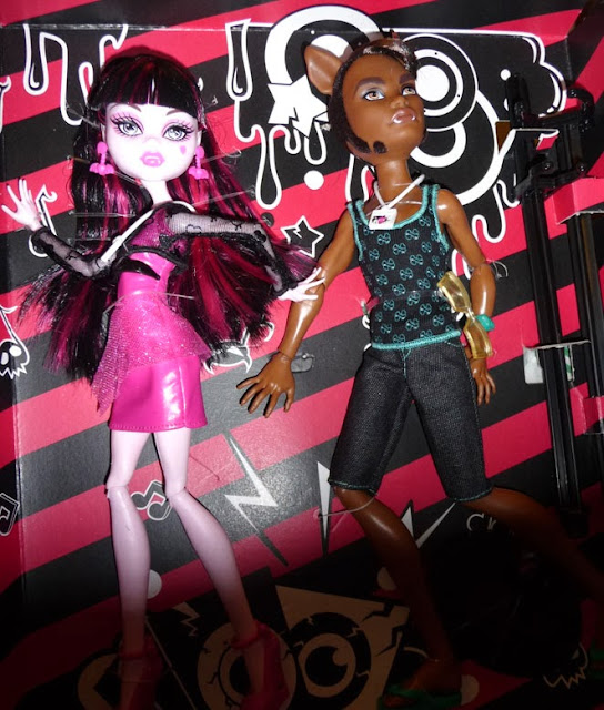 feel like a celebrity is in my house. miss sweet 1600 herself. i'm gonna  vomit from happiness. : r/MonsterHigh