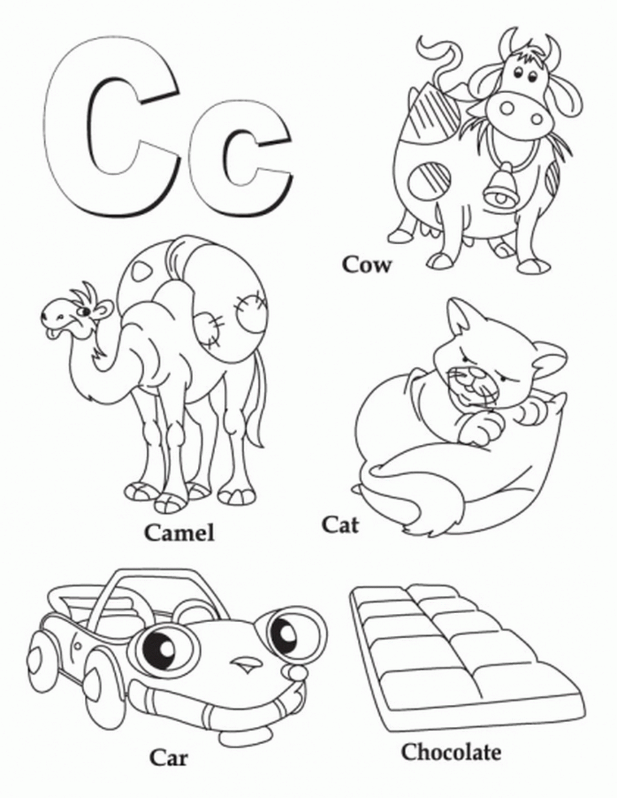 Get Circuitul Apei In Natura Planse De Colorat Pictures