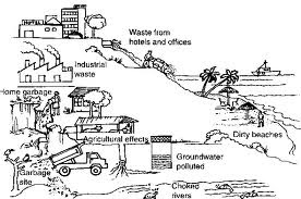 Urbanization vs. Human Survival