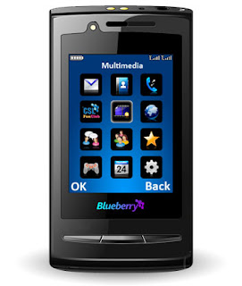 CSL+Blueberry+G9.jpg