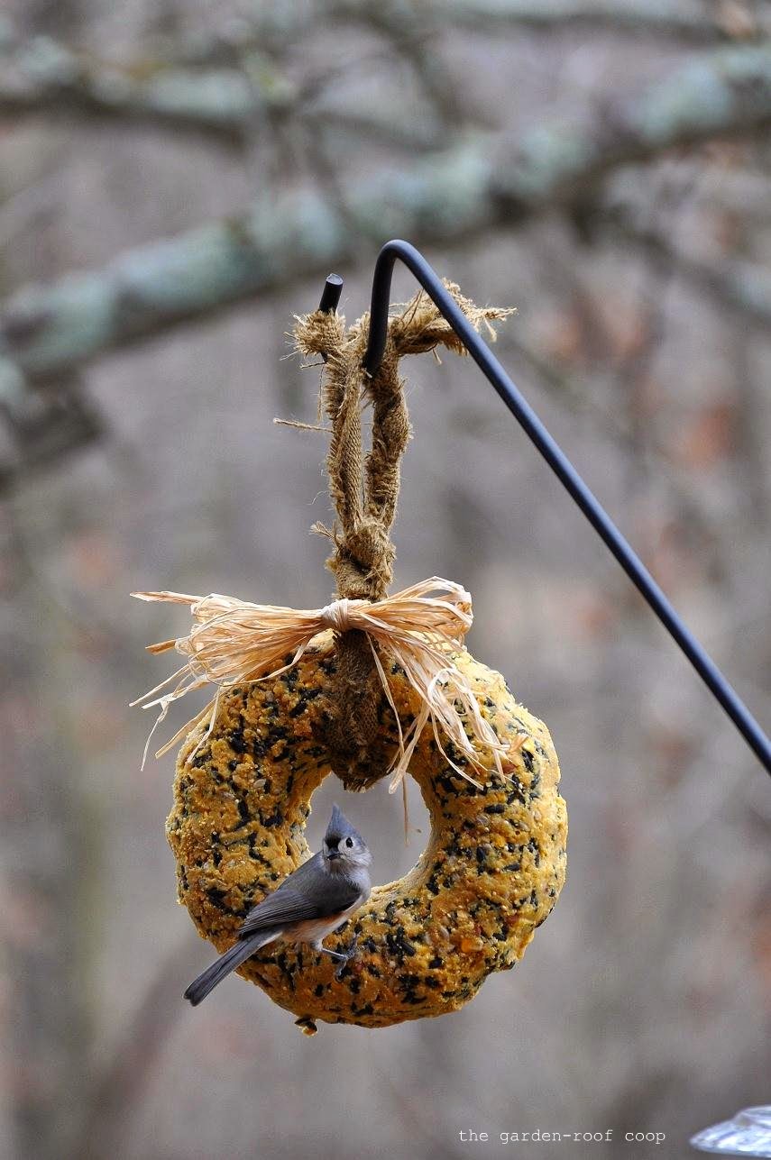 Rebecca's Bird Gardens Blog DIY Suet Wreath