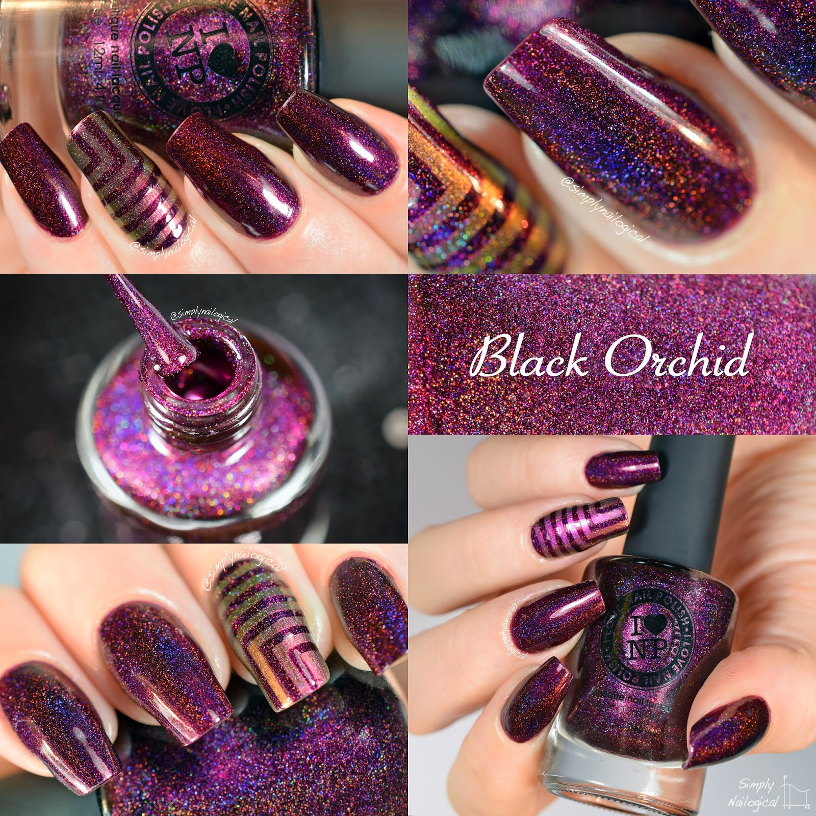 Black Orchid - ILNP Fall 2014 collection swatch