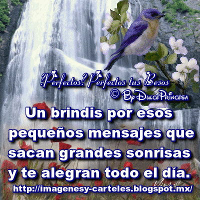 Ver las imágenes de origen