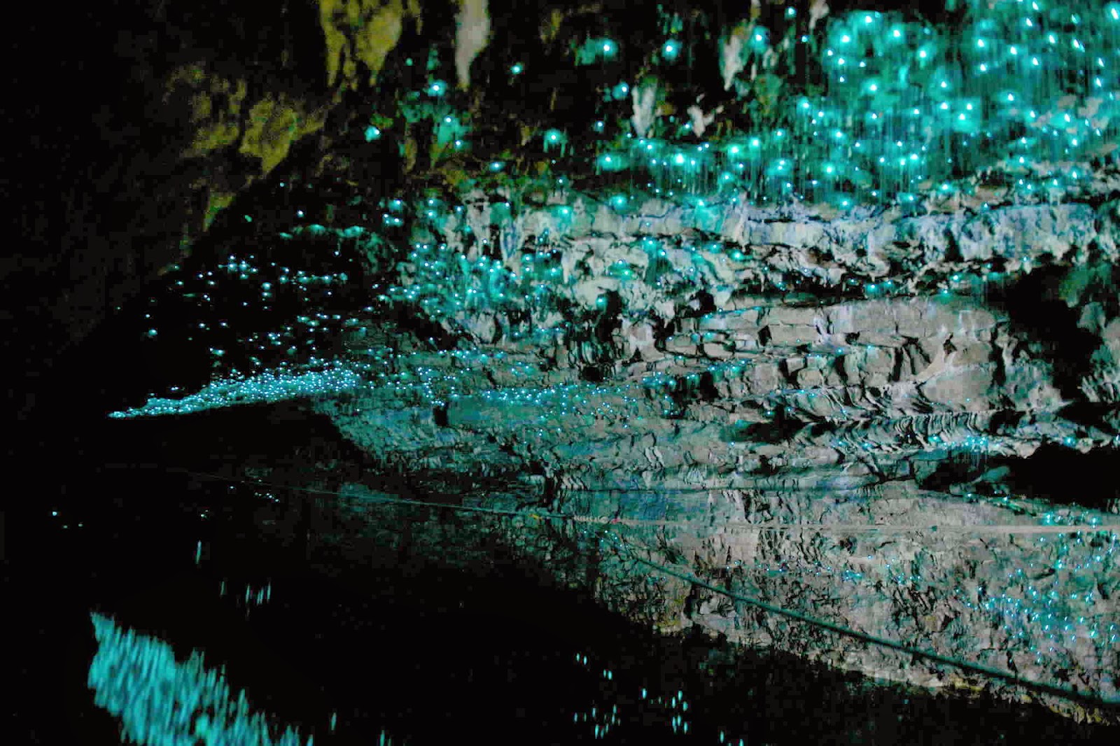 [PHOTOGRAPHY] Natural Wonders Glow Worms in Waitomo New Zealand Caves