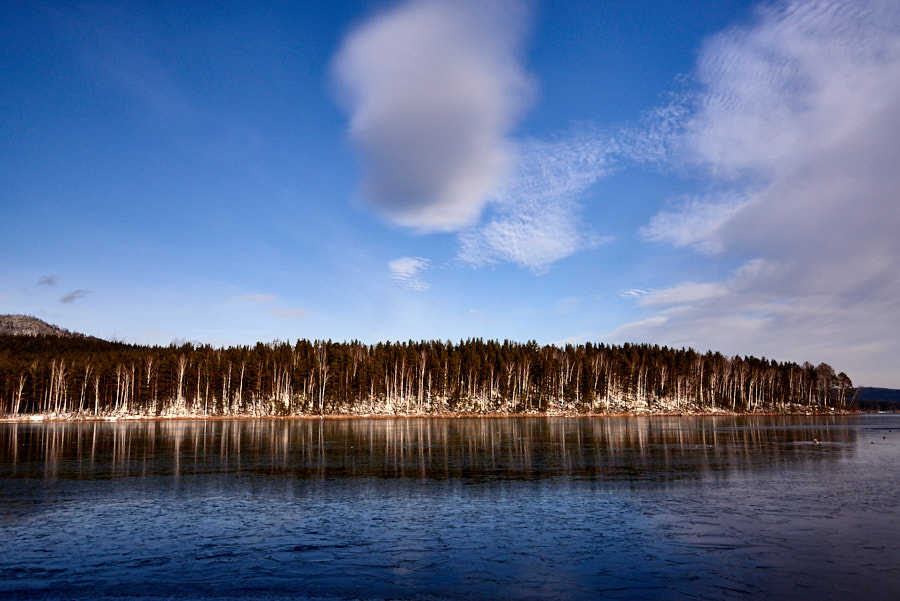 Немного фоточек