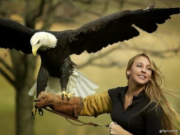 19 mascotas que pueden que sea ilegal tenerlas