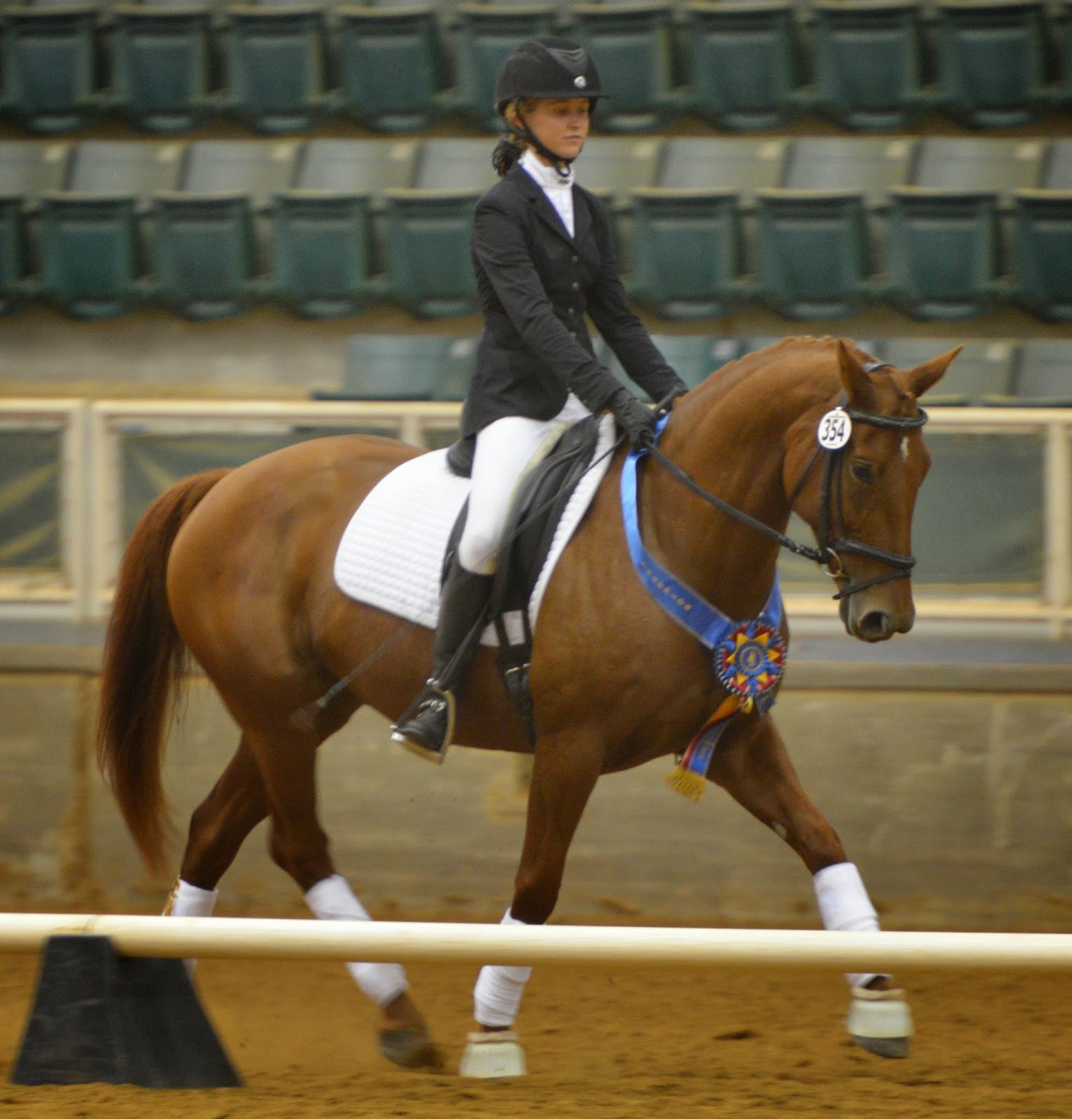 GAIG Region 1 Dressage Championships 2014. Horse Whiskers...