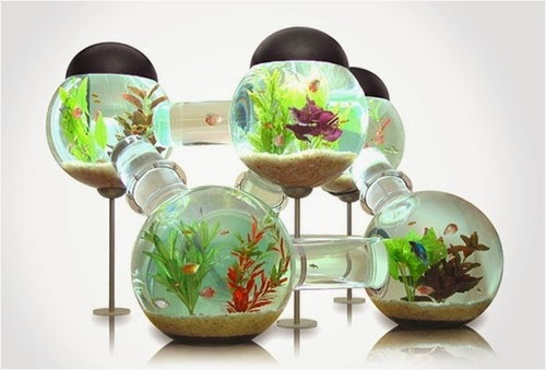 04-Labyrinth-Maze-Aquarium-Fish-Tank-Opulentitems-www-designstack-co