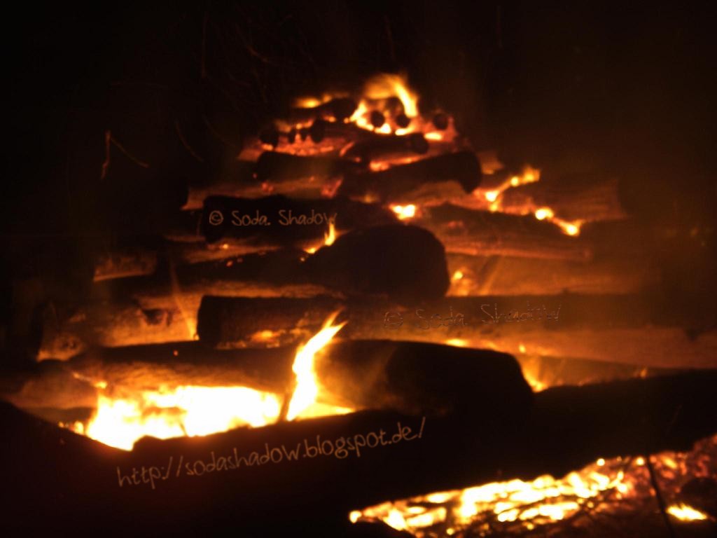 Schellerter Bote 09 05 19