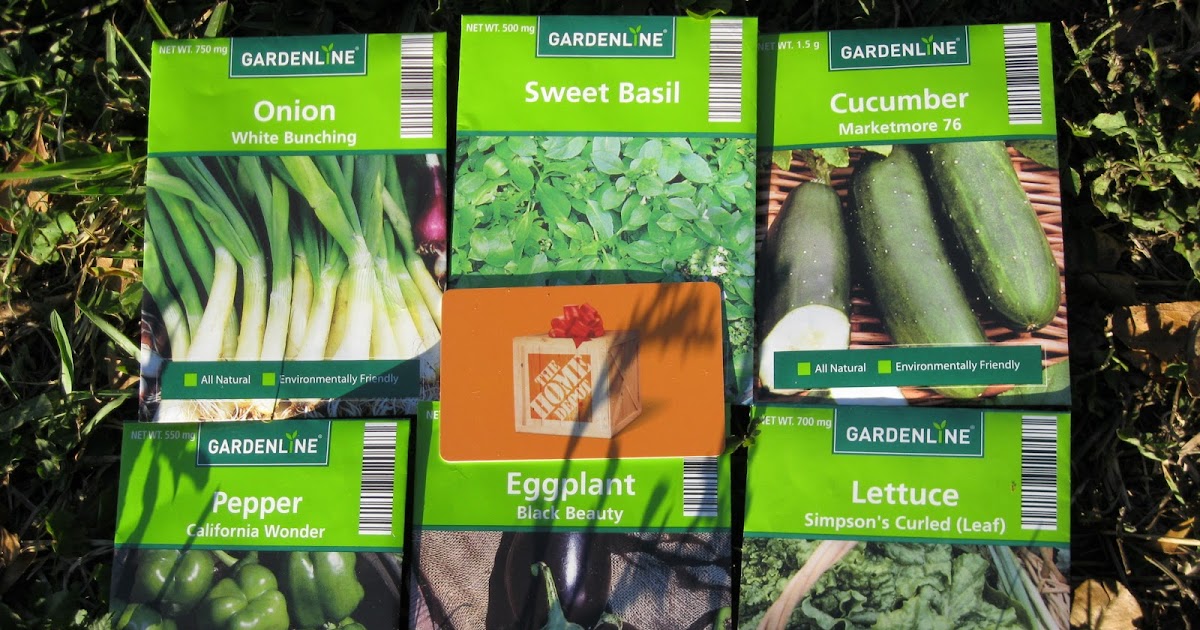 The Aldi Spot Helping You Save Aldi Ad February 1 Aldi Seeds, Valentines Day Goods & More