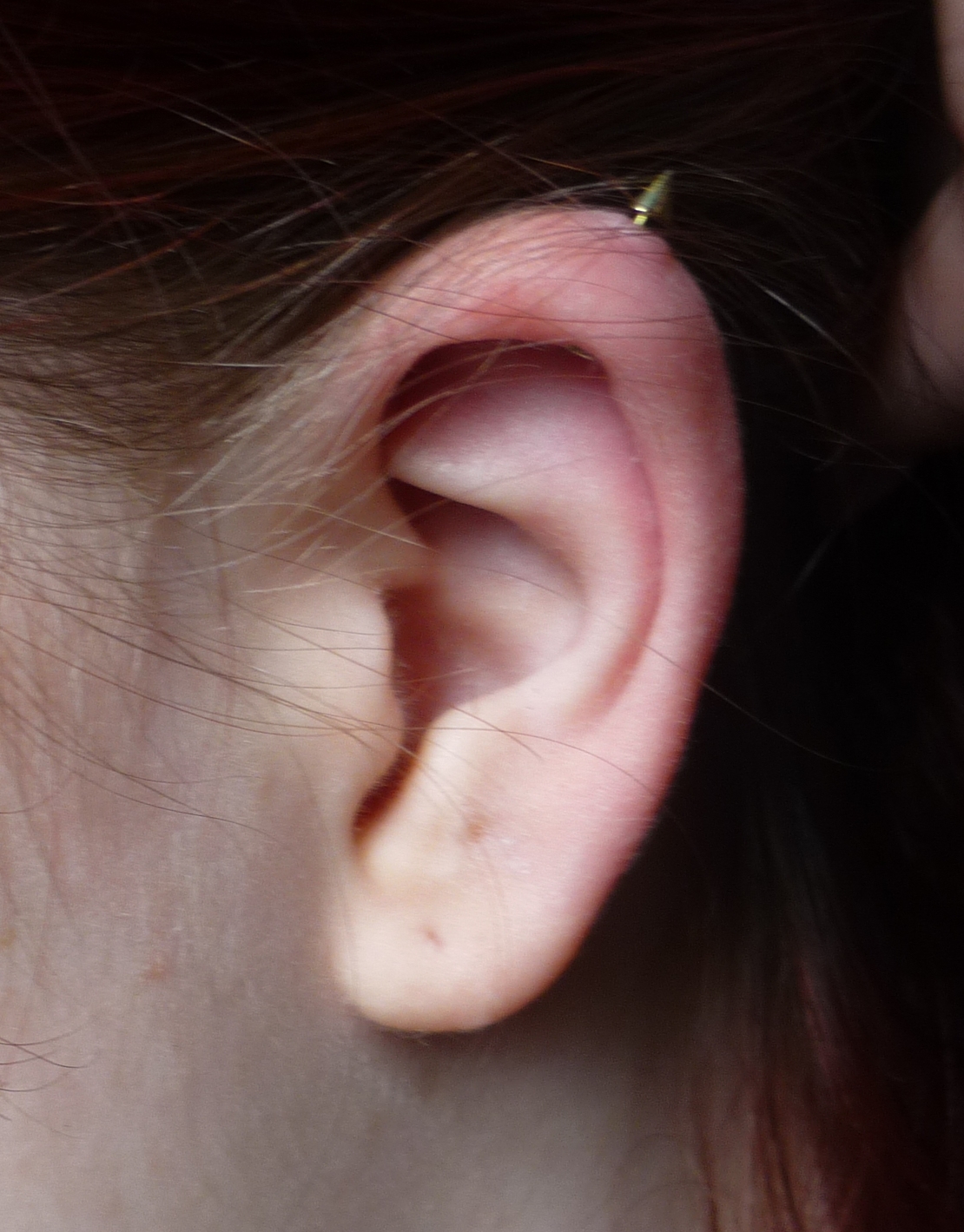 helix haircut helix haircuts helix hair usa 13 photos beauty makeup