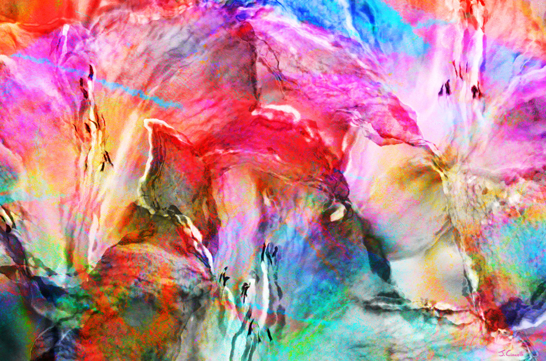 Abstract Art Gallery Floral Abstract Canvas Art "Somebody's Smiling"