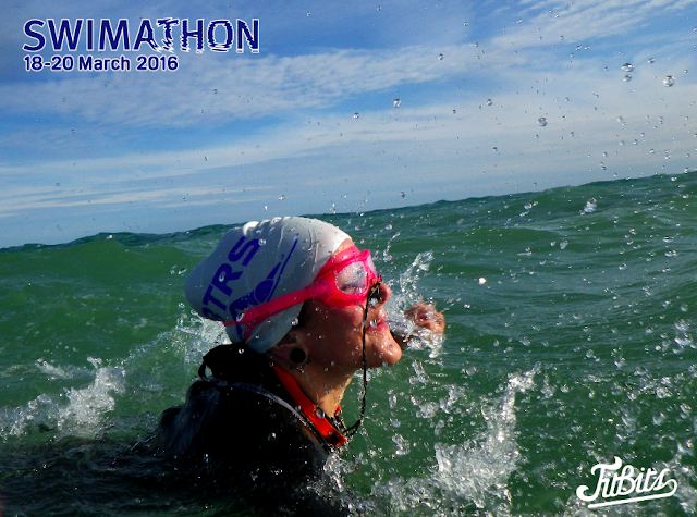 FitBits | Brighton sea swimming - Swimathon 2016 FitBits | Brighton sea swimming - Swimathon 2016