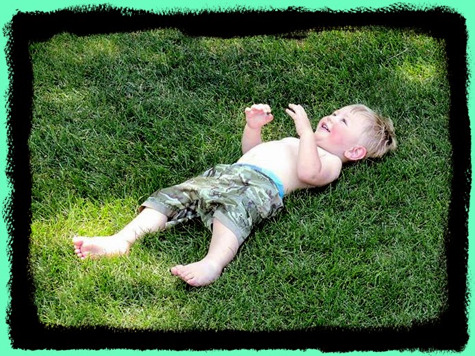summer in the grass