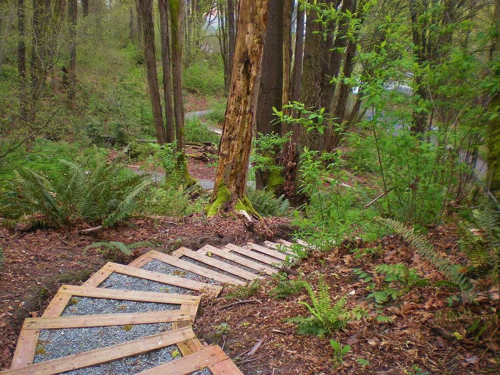 Ell Alley Cheasty Greenspace at Mt View